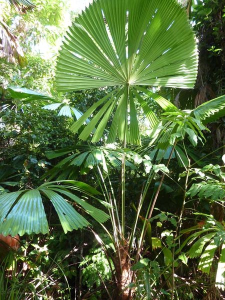 Parsing error example