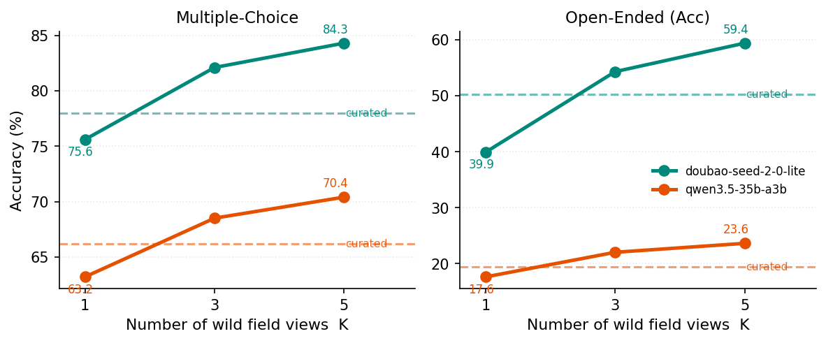 Curated versus in-the-wild accuracy as the number of field views increases